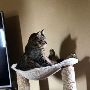 Meet your Posher, Jade